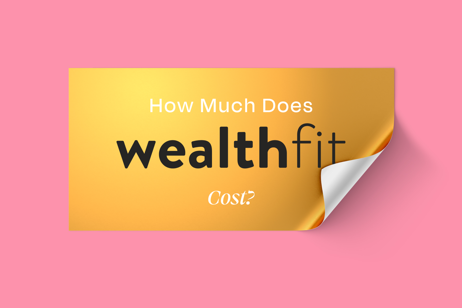 How Much Does WealthFit Cost? - WealthFit