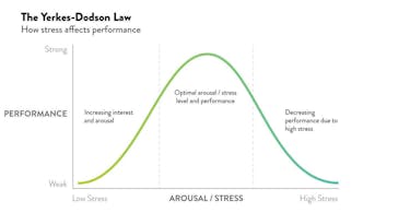 Yerkes-Dodson Law graph showing how stress affects performance