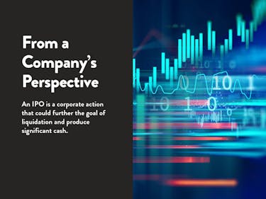 What is an IPO from a company's perspective