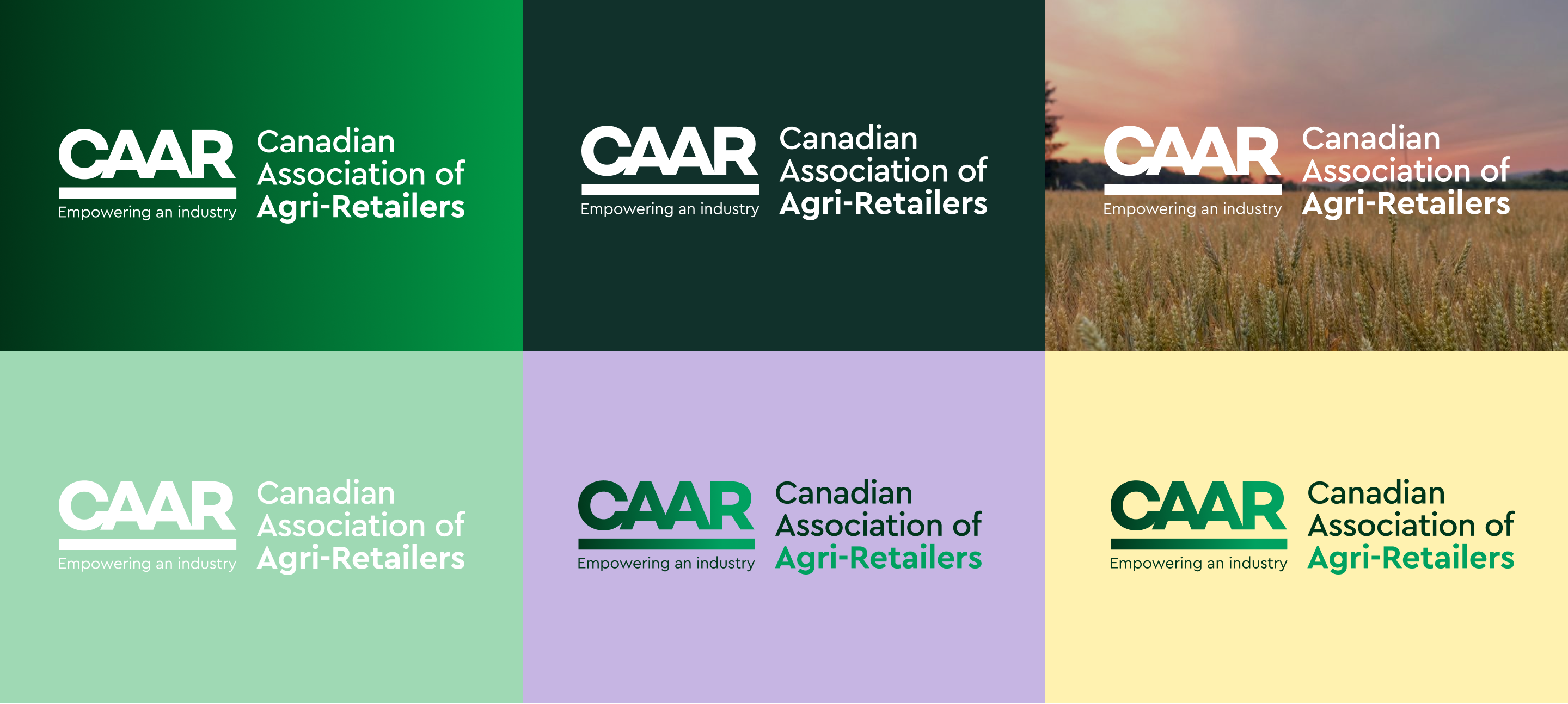 The CAAR logos on coloured backgrounds