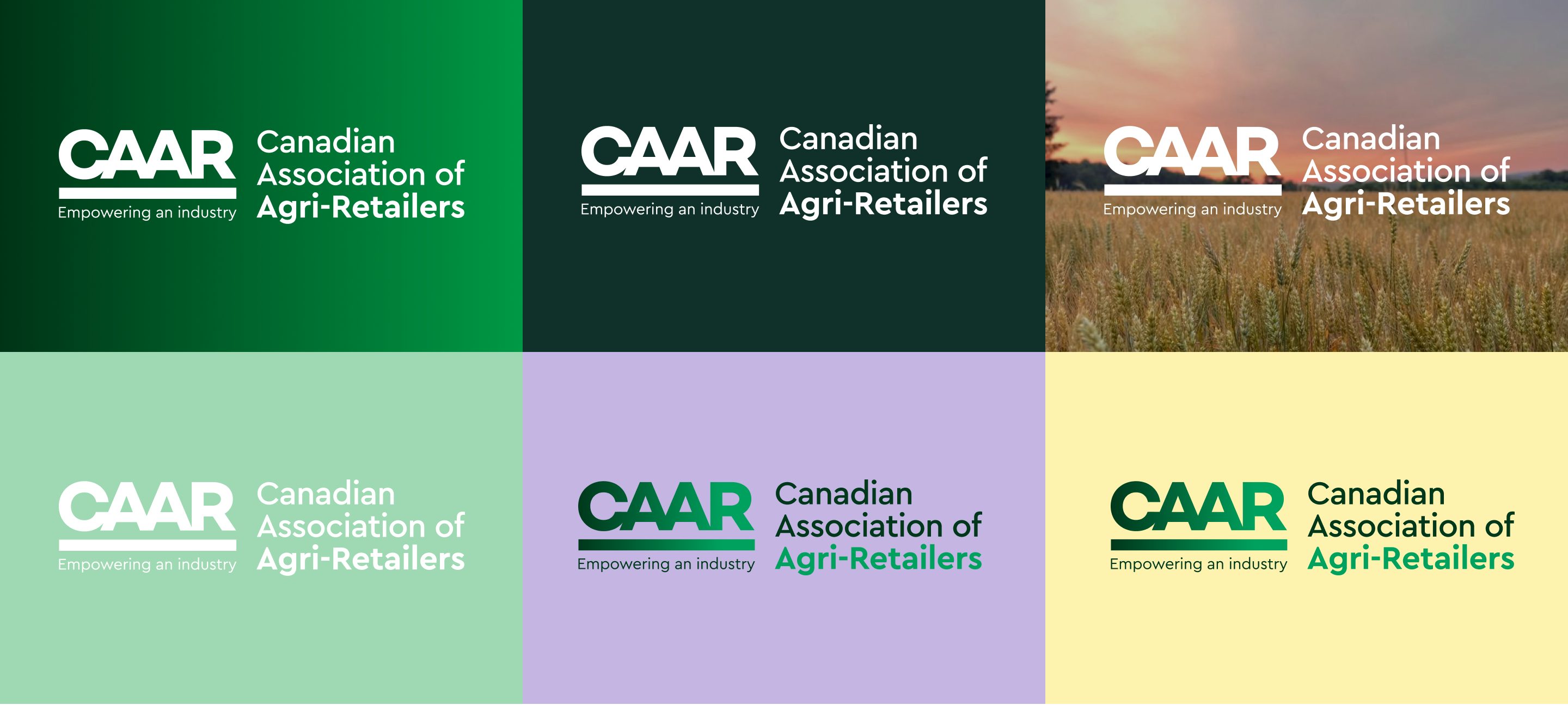 The CAAR logos on coloured backgrounds