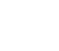 custom development graphic