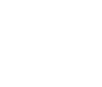 custom development graphic