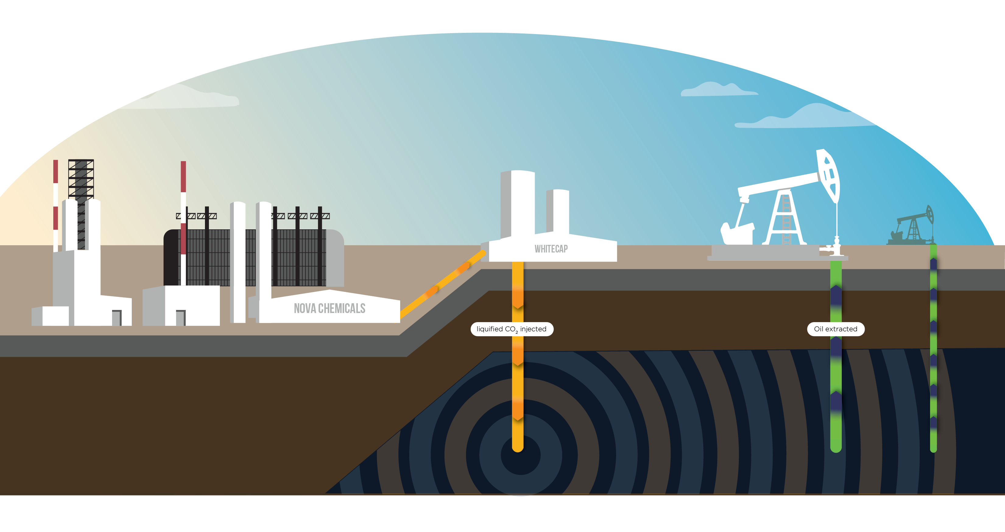 oil illustration design