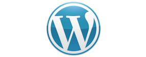 wordpress developer