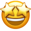 feature icon