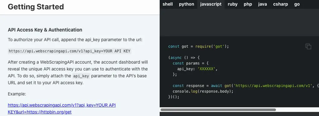 API documentation Getting Started section showing API key authentication and an example request