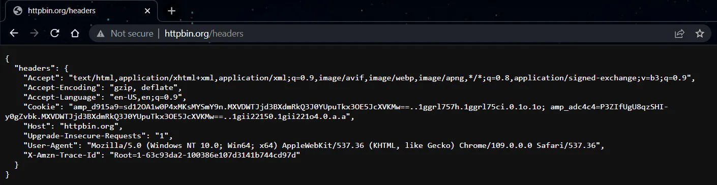 httpbin.org/headers page showing a JSON response with request headers