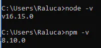 Windows terminal showing Node.js and npm version commands and their outputs