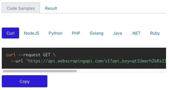 Code samples panel showing a curl request example with language tabs and a Copy button