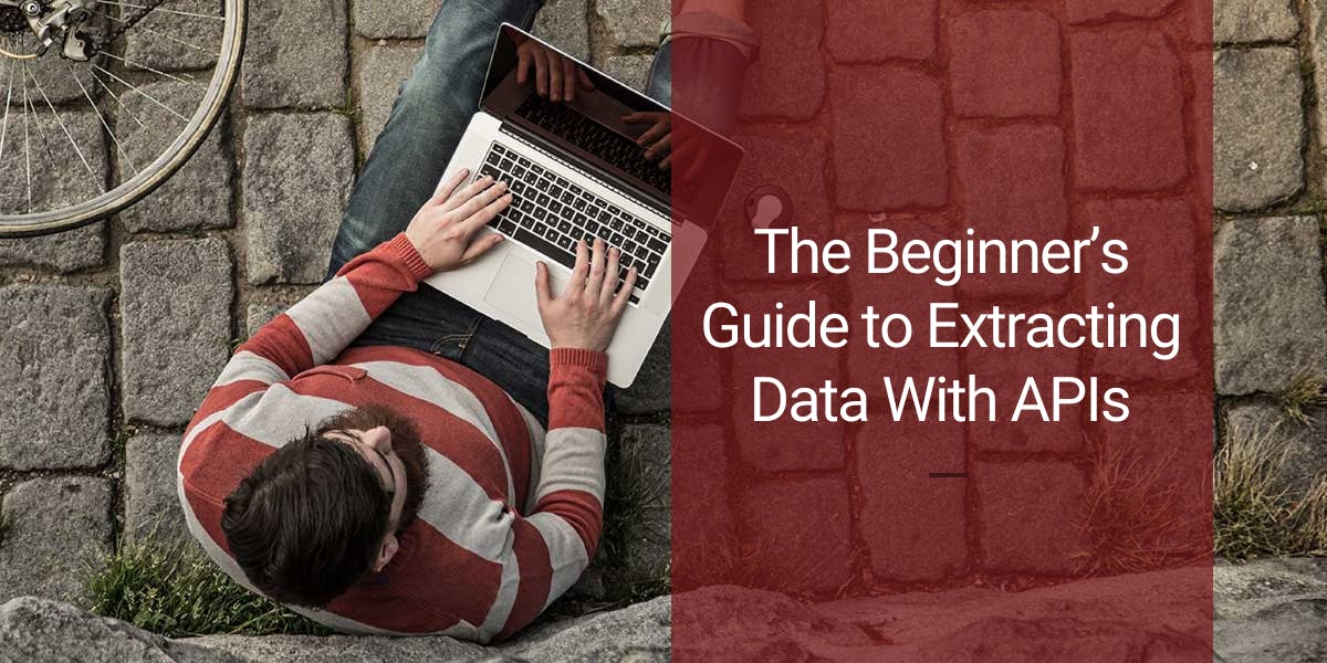 The Beginner’s Guide to Extracting Data With APIs - WebScrapingAPI