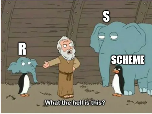 Cartoon meme comparing R and S Scheme with caption text expressing confusion