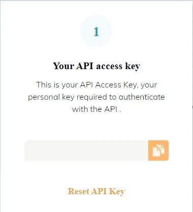 Settings page showing an API access key field with a copy icon and a reset key option