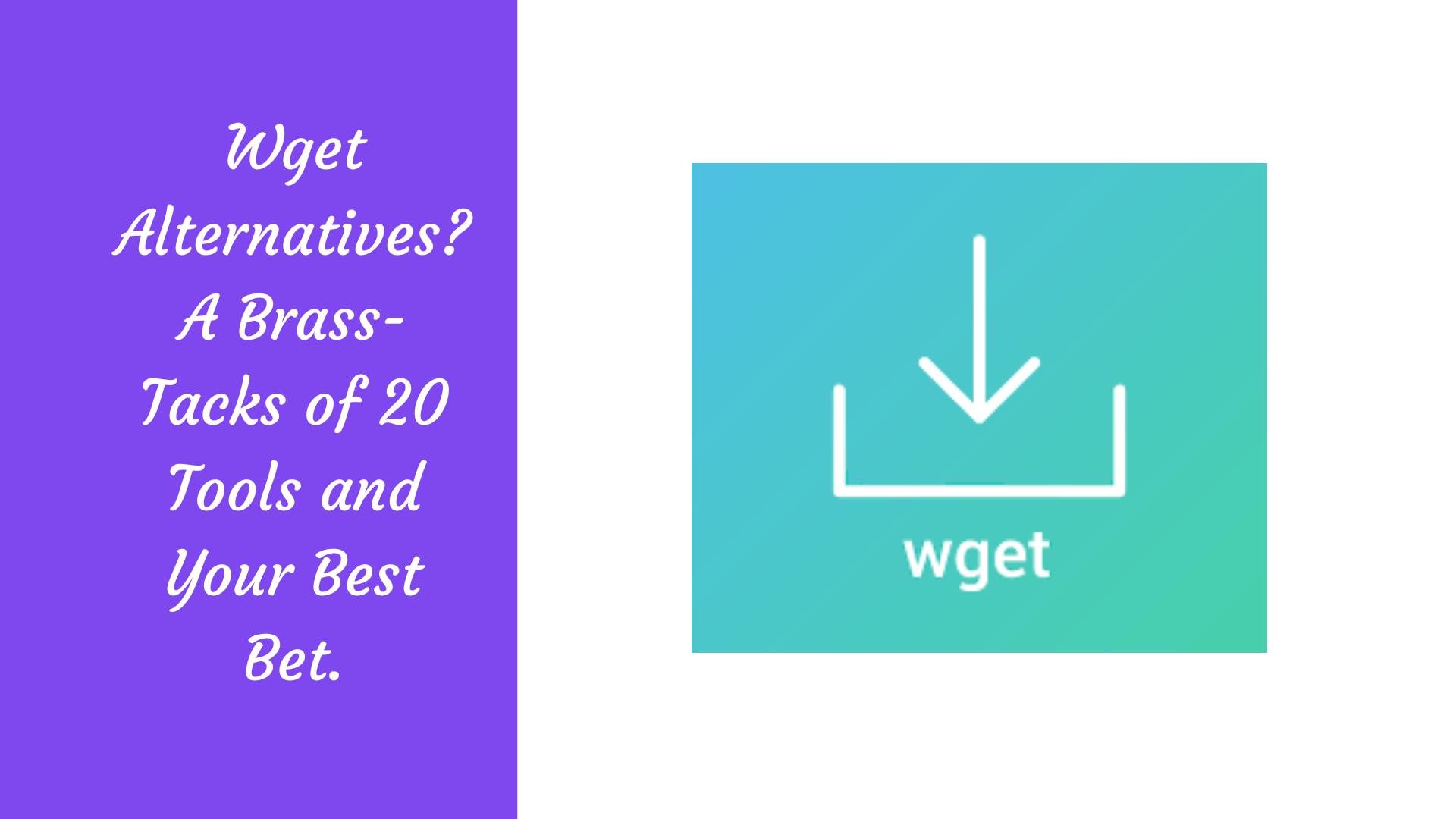 Wget Alternatives? A BrassTacks of 20 Tools and Your Best Bet