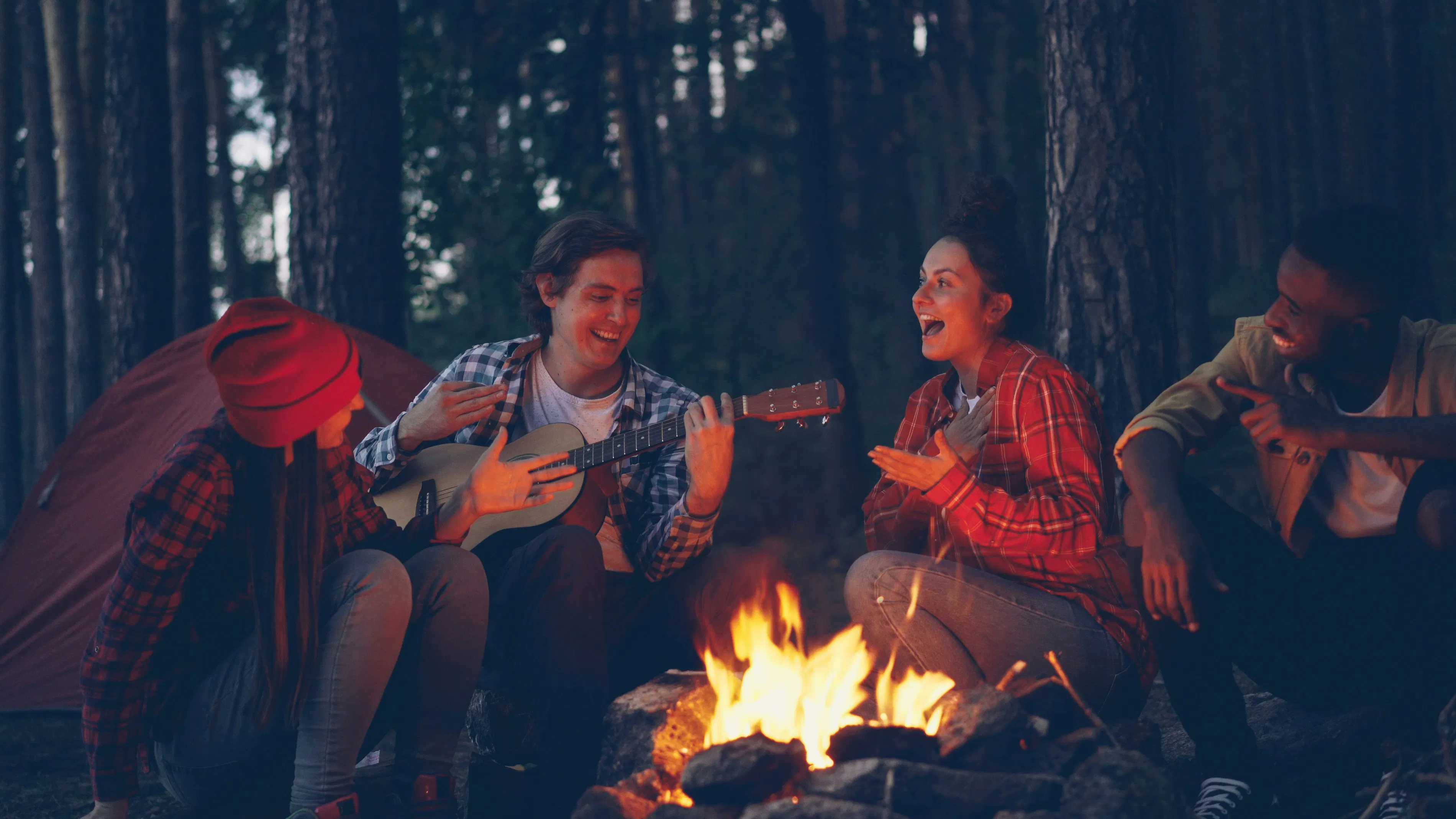 Amici che cantano attorno a un falò nel bosco