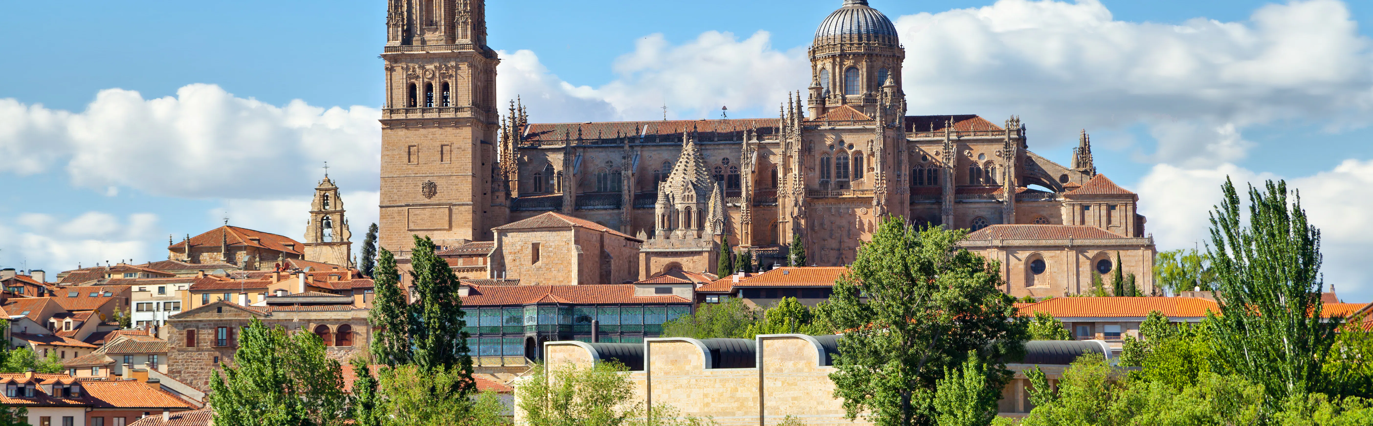 Learn Spanish in Salamanca, a vibrant university city rich in culture, history and student life