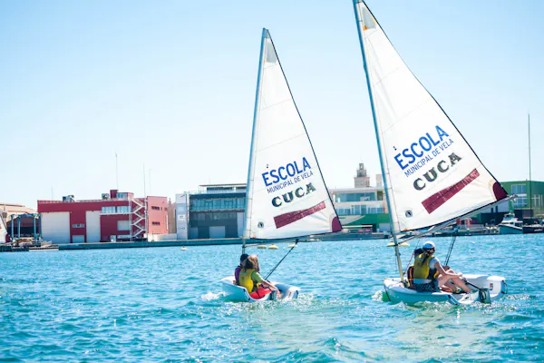 Vela nei campi estivi di Alicante