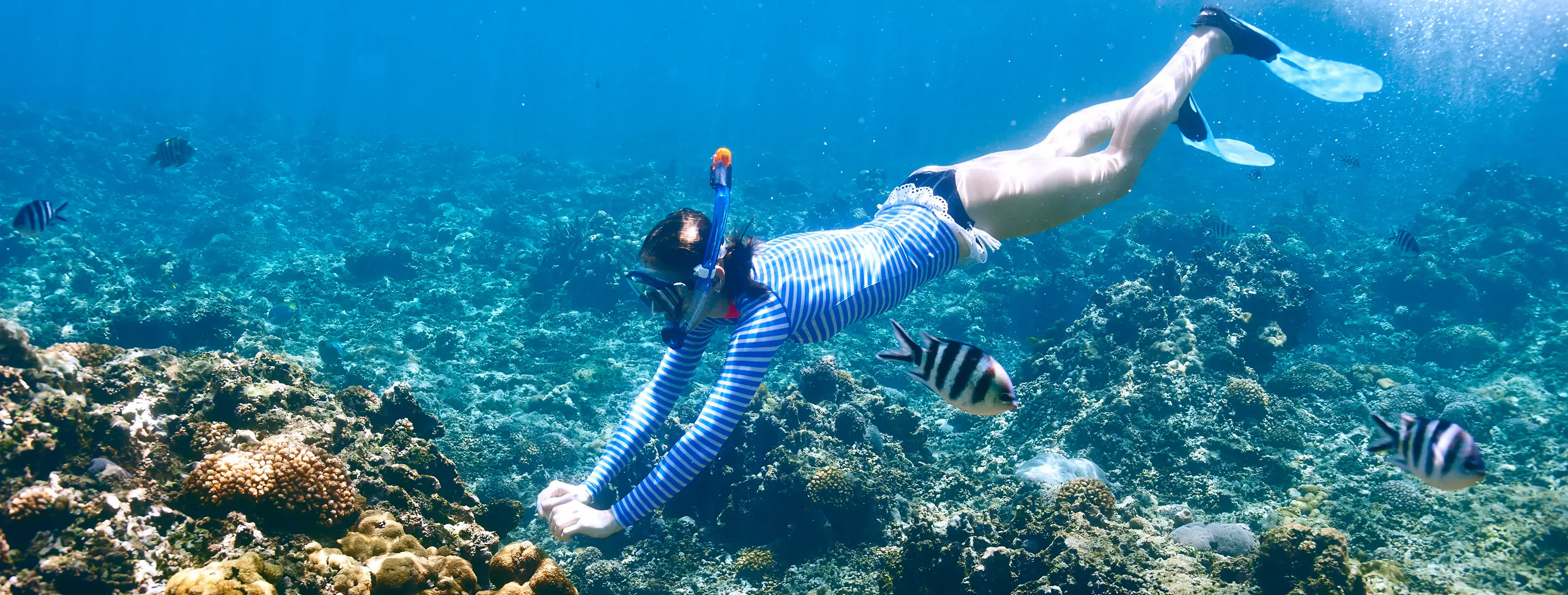 water sports like snorkelling and diving, explore local markets and enjoy lively nightlife in Sosua and nearby Cabarete