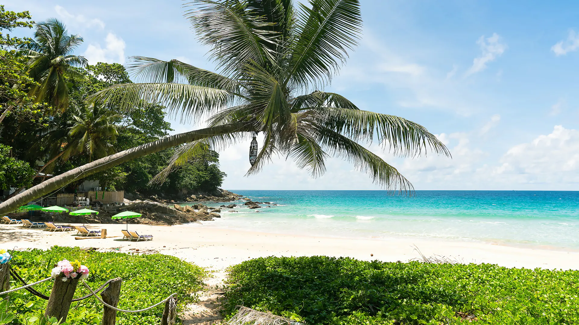 Spiaggia tropicale con palme, sabbia bianca e acque turchesi in un ambiente paradisiaco