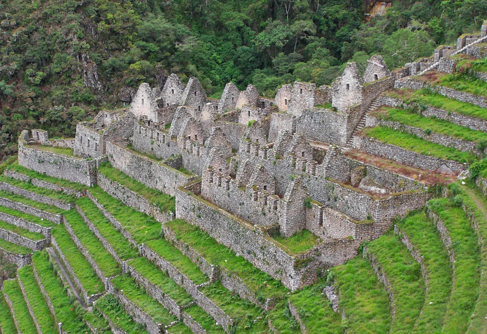 Rovine inca in Perù circondate da terrazze agricole e montagne verdi