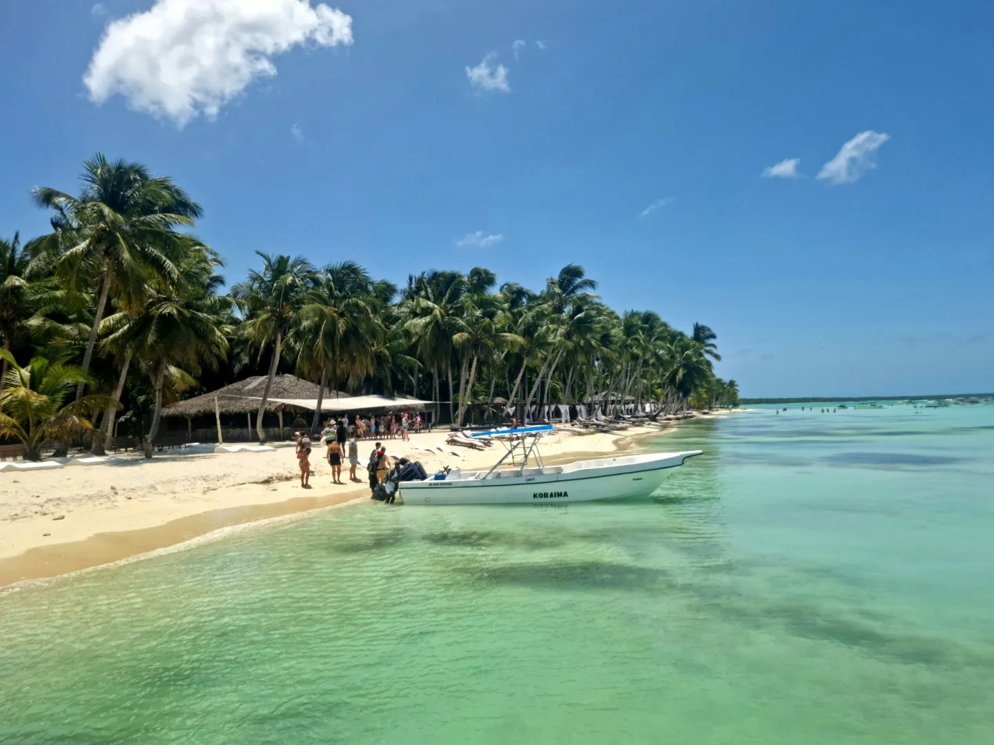 ヤシの木、白い砂浜、透き通った水があるドミニカ共和国のビーチ
