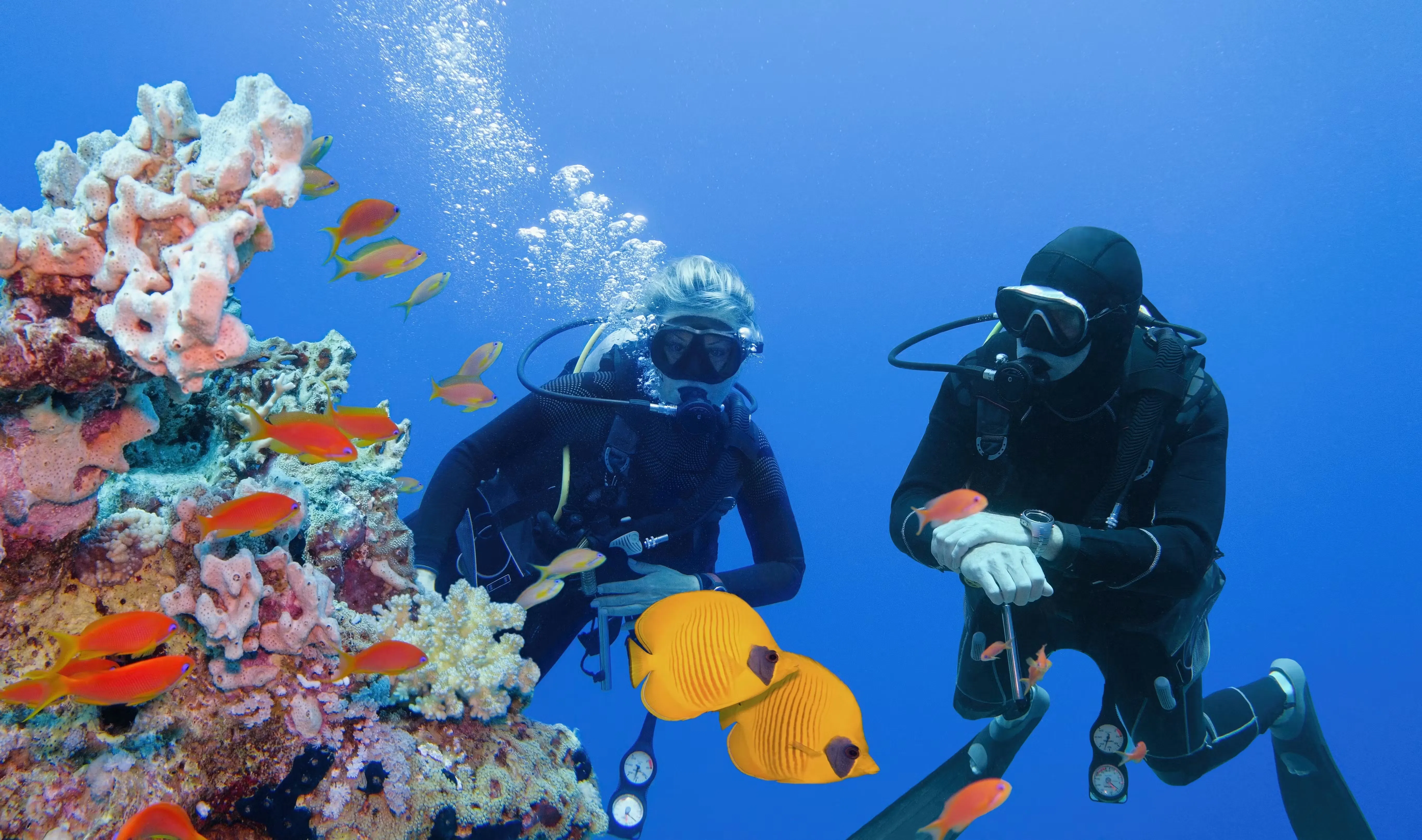 Jovens fazem snorkel ou mergulho em recifes de corais e cenotes