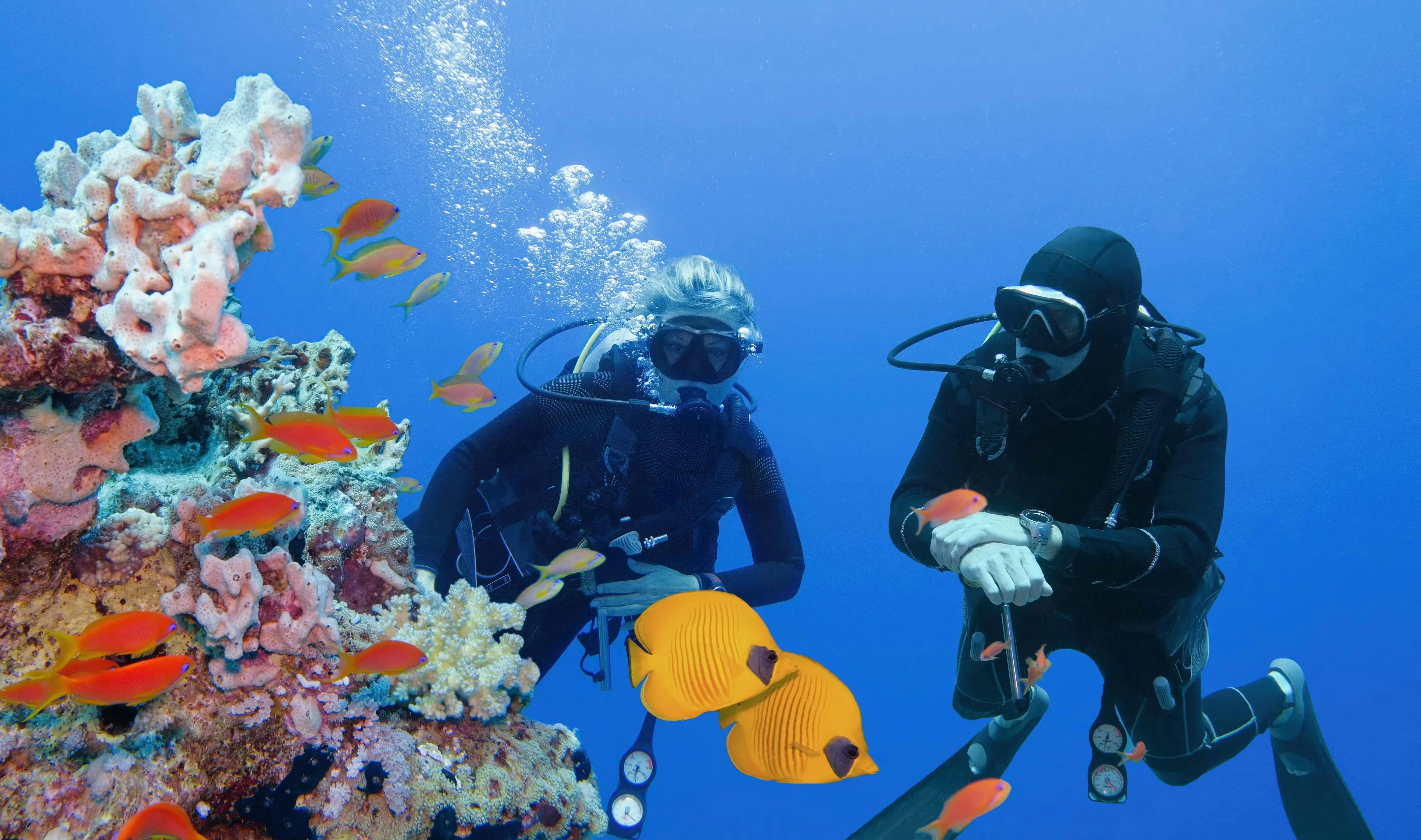 giovani che fanno snorkeling o immersioni su barriere coralline e in cenotes