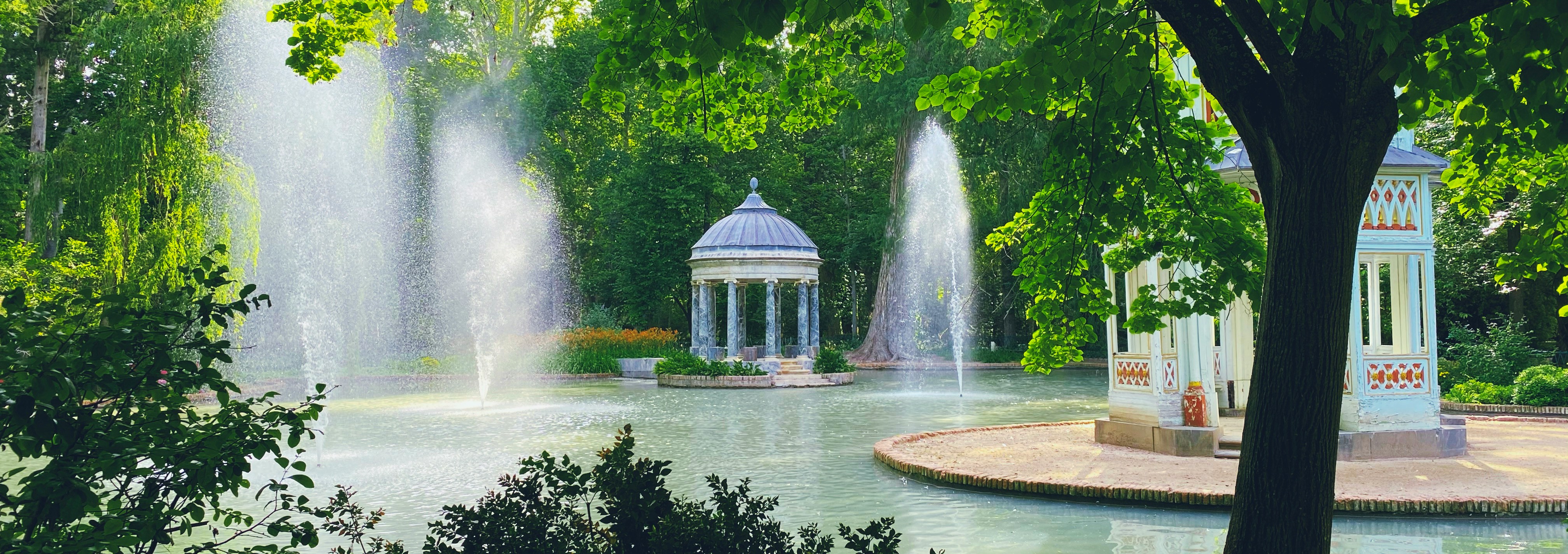 water fountain in the middle of green trees
