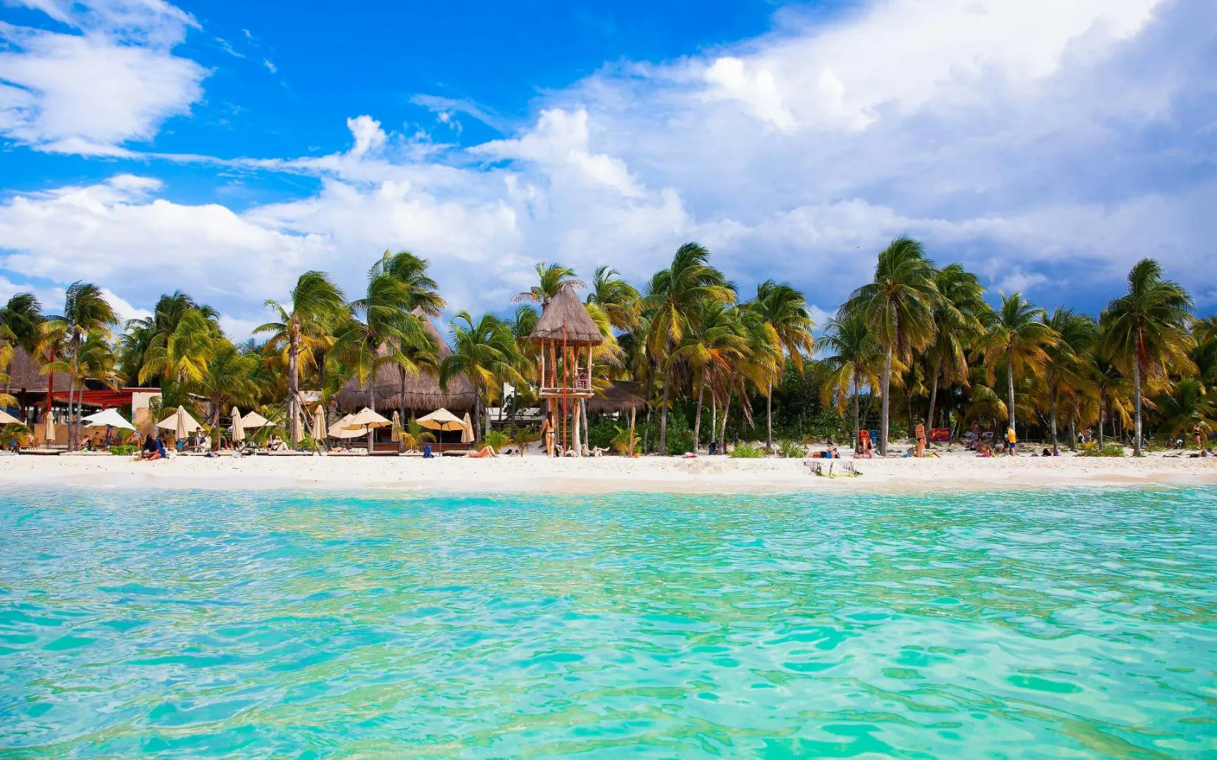 una spiaggia tropicale con acque turchesi e alte palme