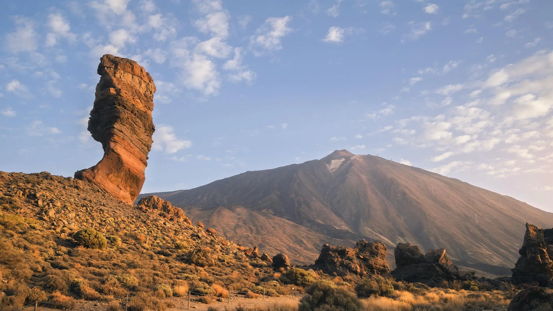 Il posto migliore per studiare a Tenerife