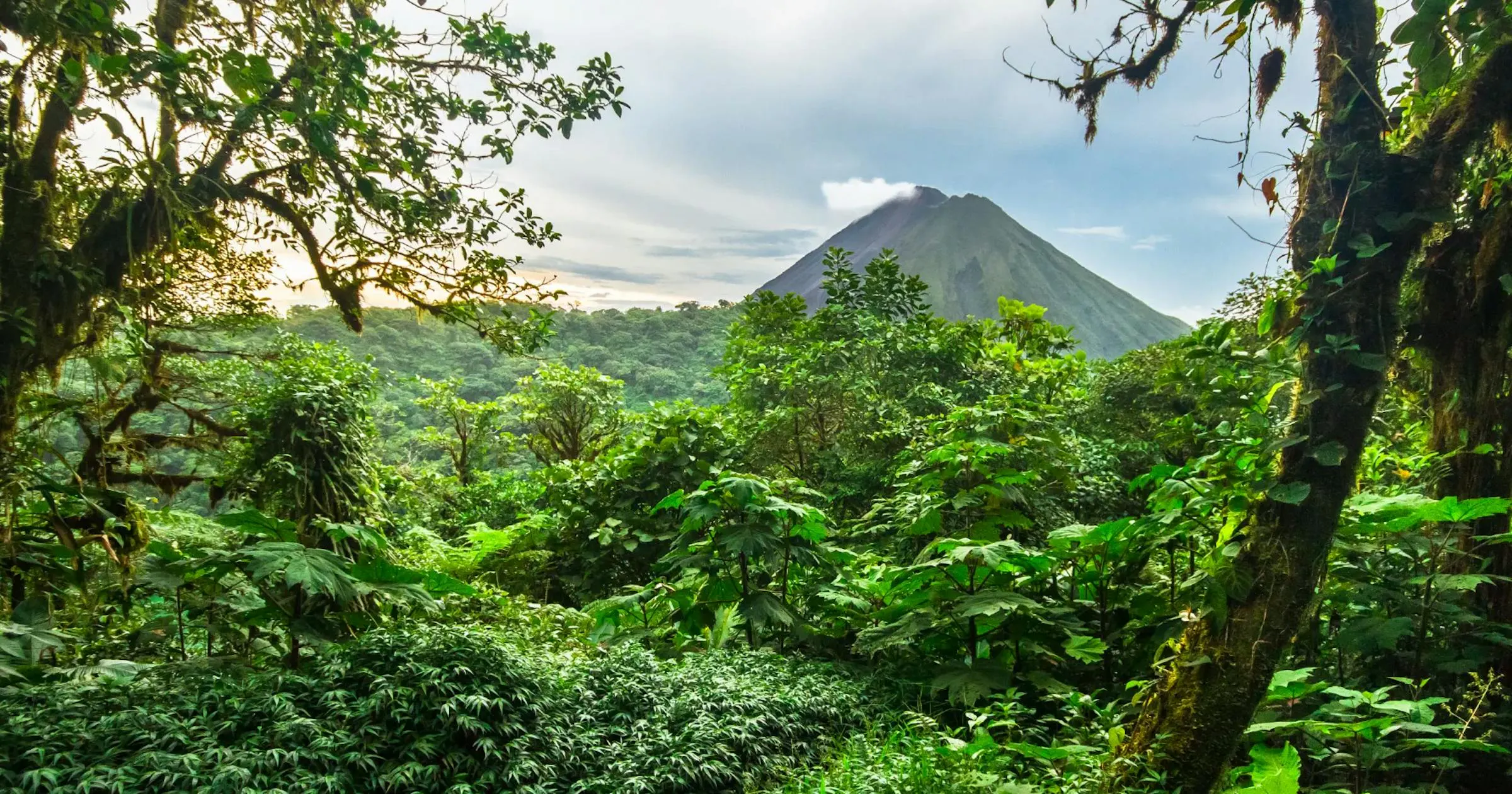 Foresta pluviale costaricense con vegetazione lussureggiante e un vulcano sullo sfondo