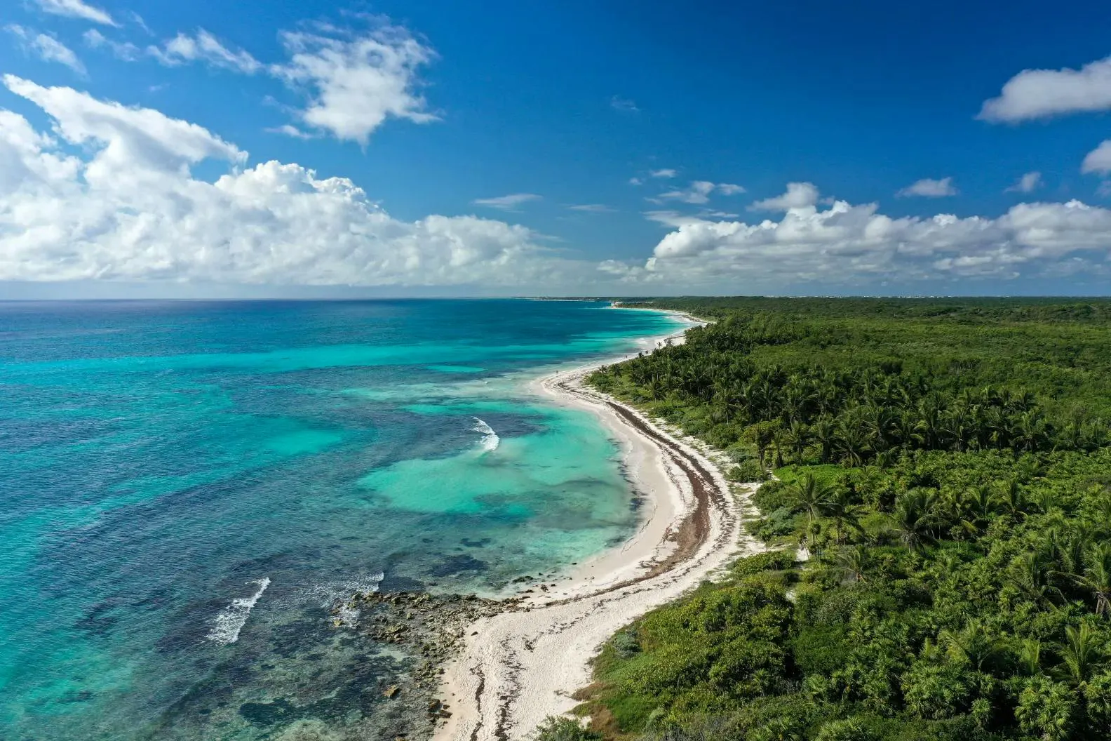 Spiaggia della Repubblica Dominicana con acque turchesi e rigogliosa vegetazione tropicale