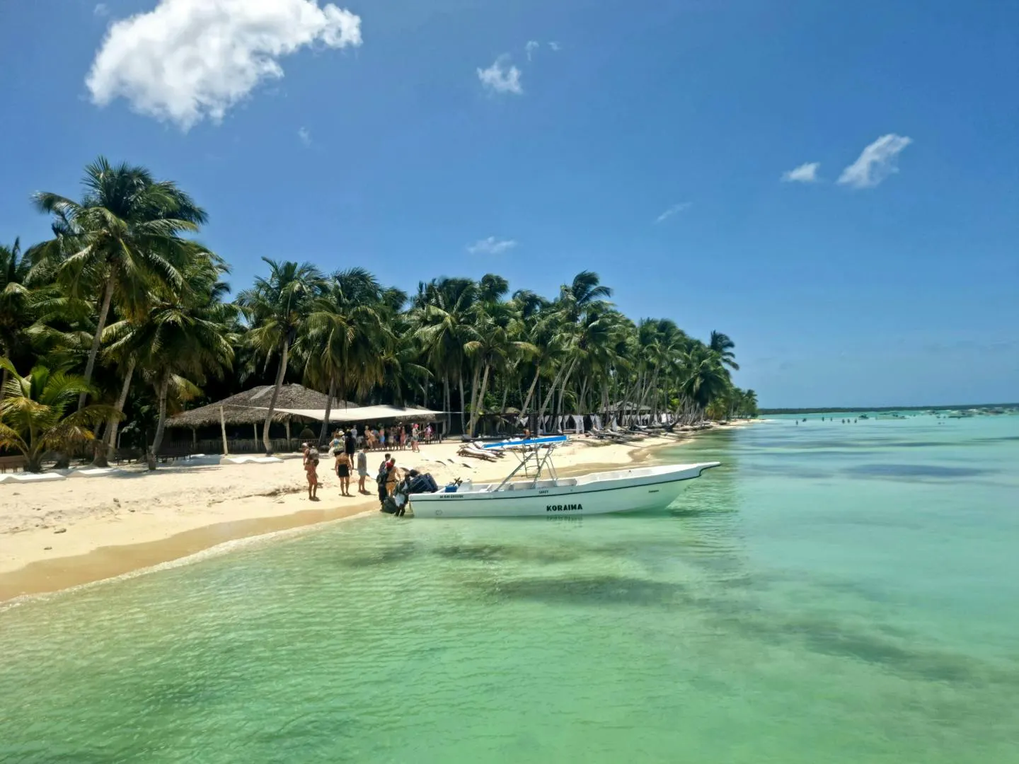 Spiaggia della Repubblica Dominicana con palme, sabbia bianca e acque cristalline