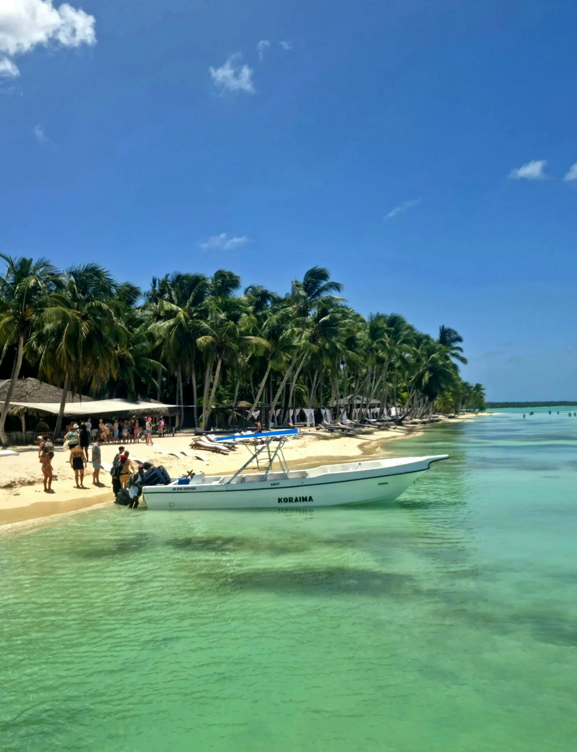 Spiaggia tropicale nella Repubblica Dominicana con palme, sabbia bianca e acque cristalline