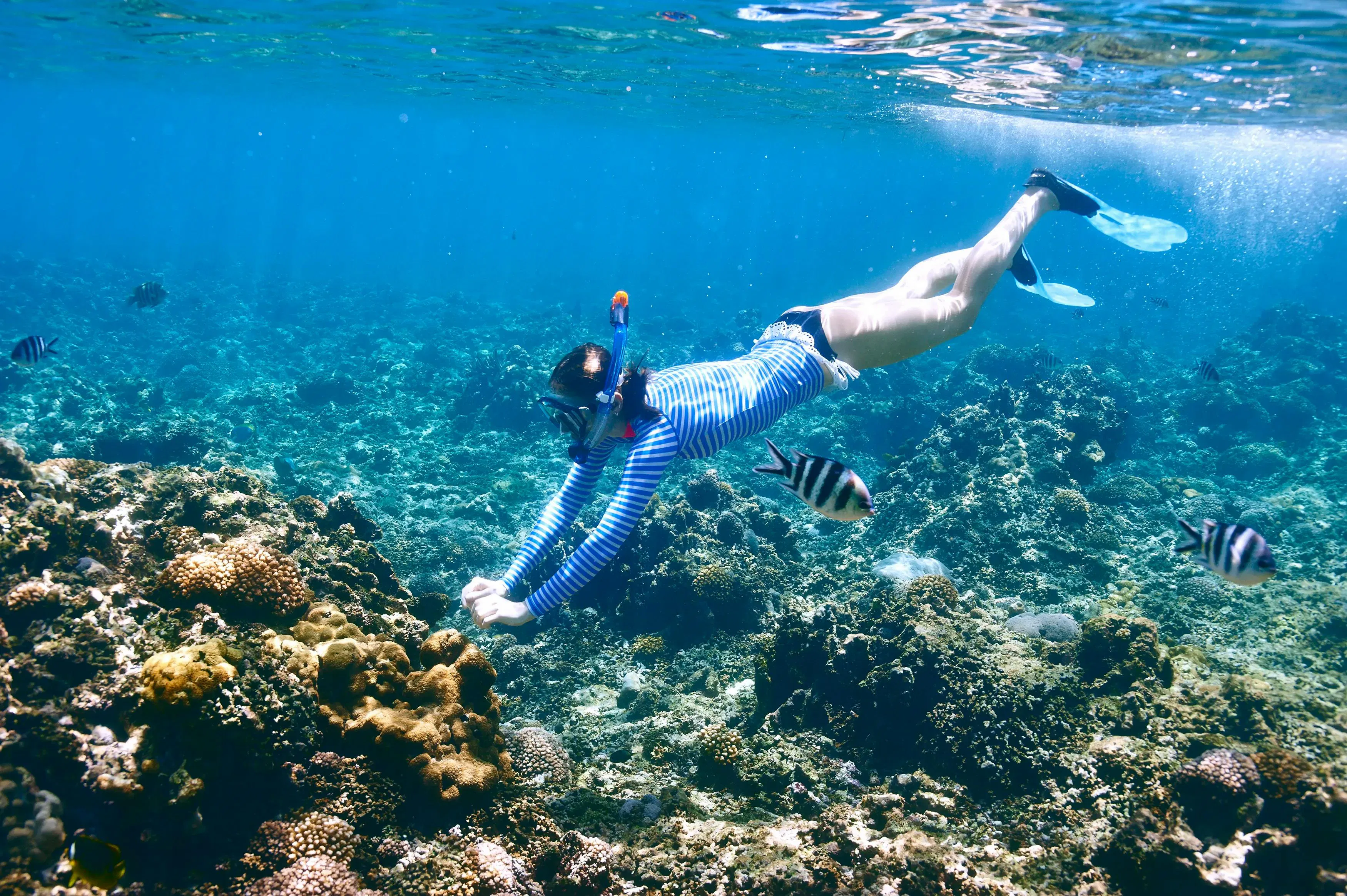 Persona che fa snorkeling sopra barriere coralline in acque caraibiche cristalline
