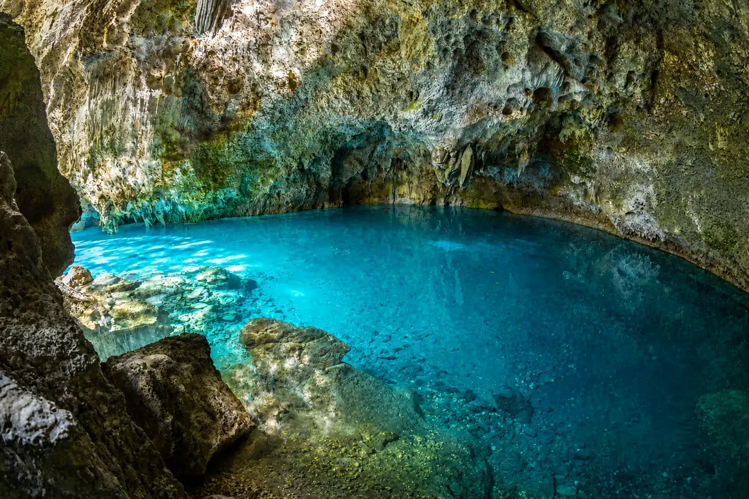Cenote cristallino circondato da formazioni rocciose in un ambiente naturale