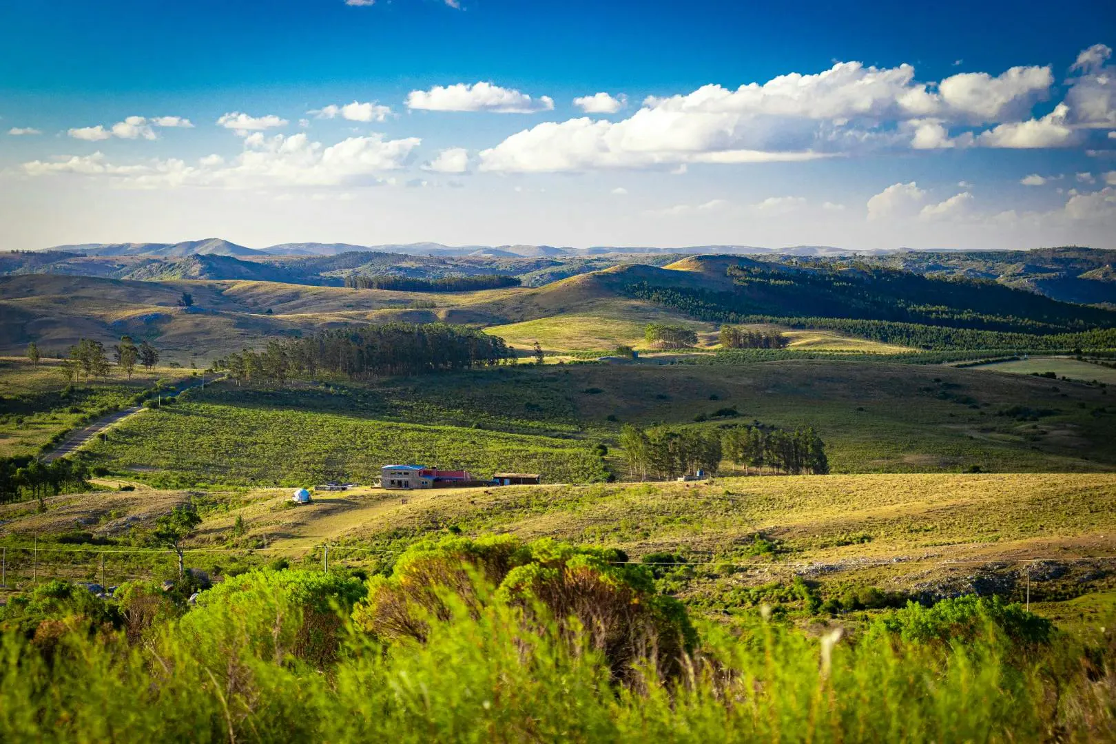 Paesaggio naturale in Uruguay con colline verdi e ampi campi sotto un cielo sereno