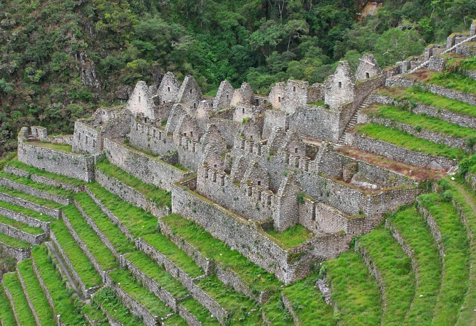 Rovine Inca in Perù circondate da terrazzamenti agricoli e montagne verdi