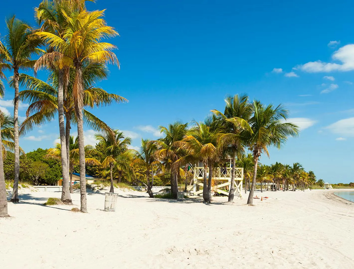 Spiaggia tropicale di sabbia bianca con palme e mare cristallino sotto un cielo soleggiato