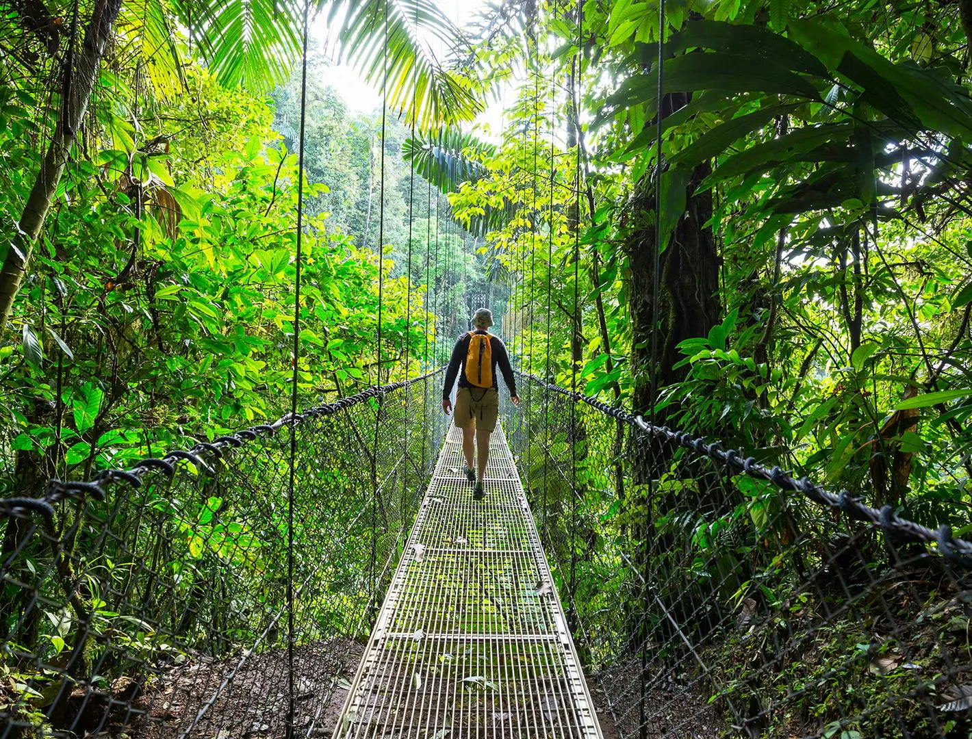 Persona che attraversa un ponte sospeso circondata da foresta pluviale tropicale e vegetazione lussureggiante