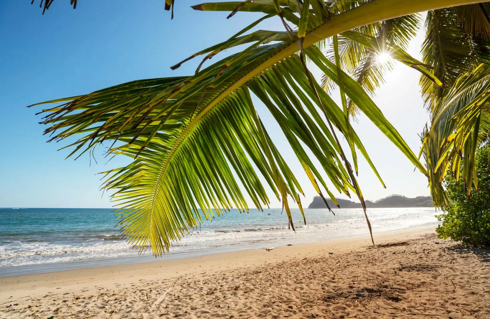 Spiaggia tropicale con palme, sabbia dorata e mare calmo al sole