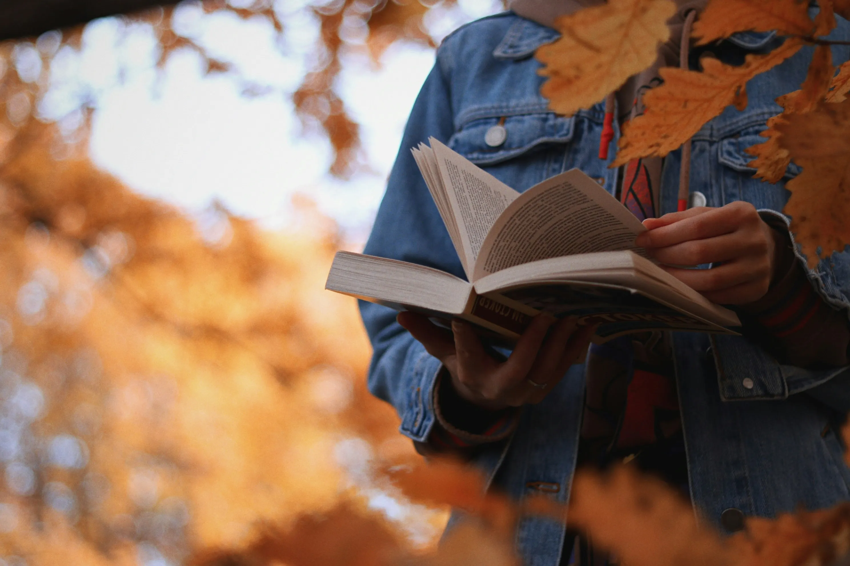 una persona che tiene un libro tra le mani