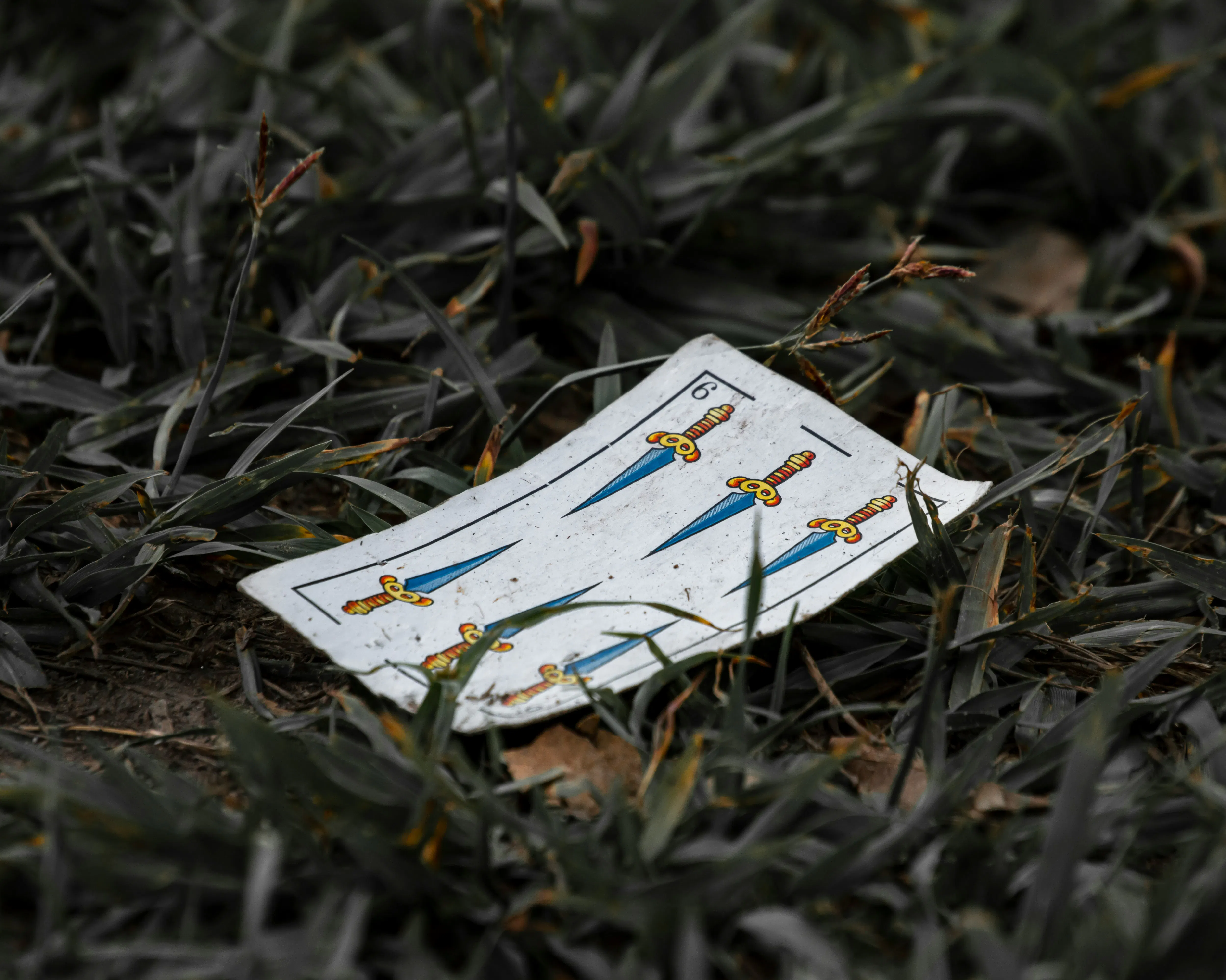 un pezzo di carta che giace nell'erba