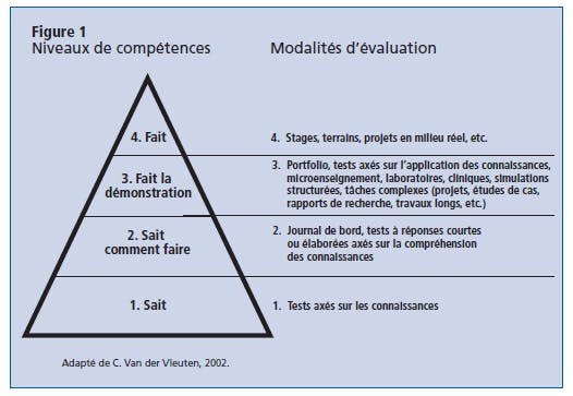 cycle de vie des compétences