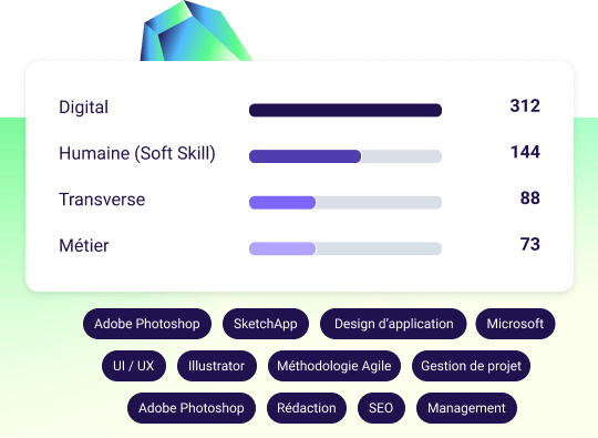 profil identification des compétences