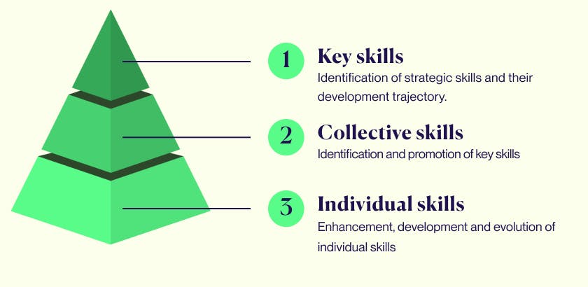 skills pyramid