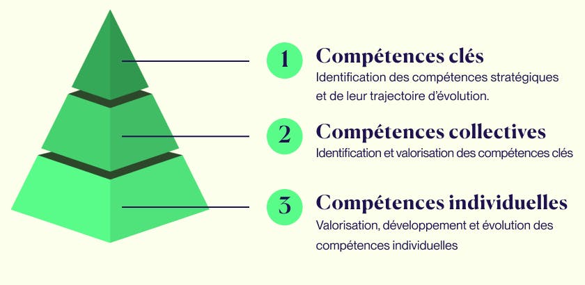 pyramide des compétences