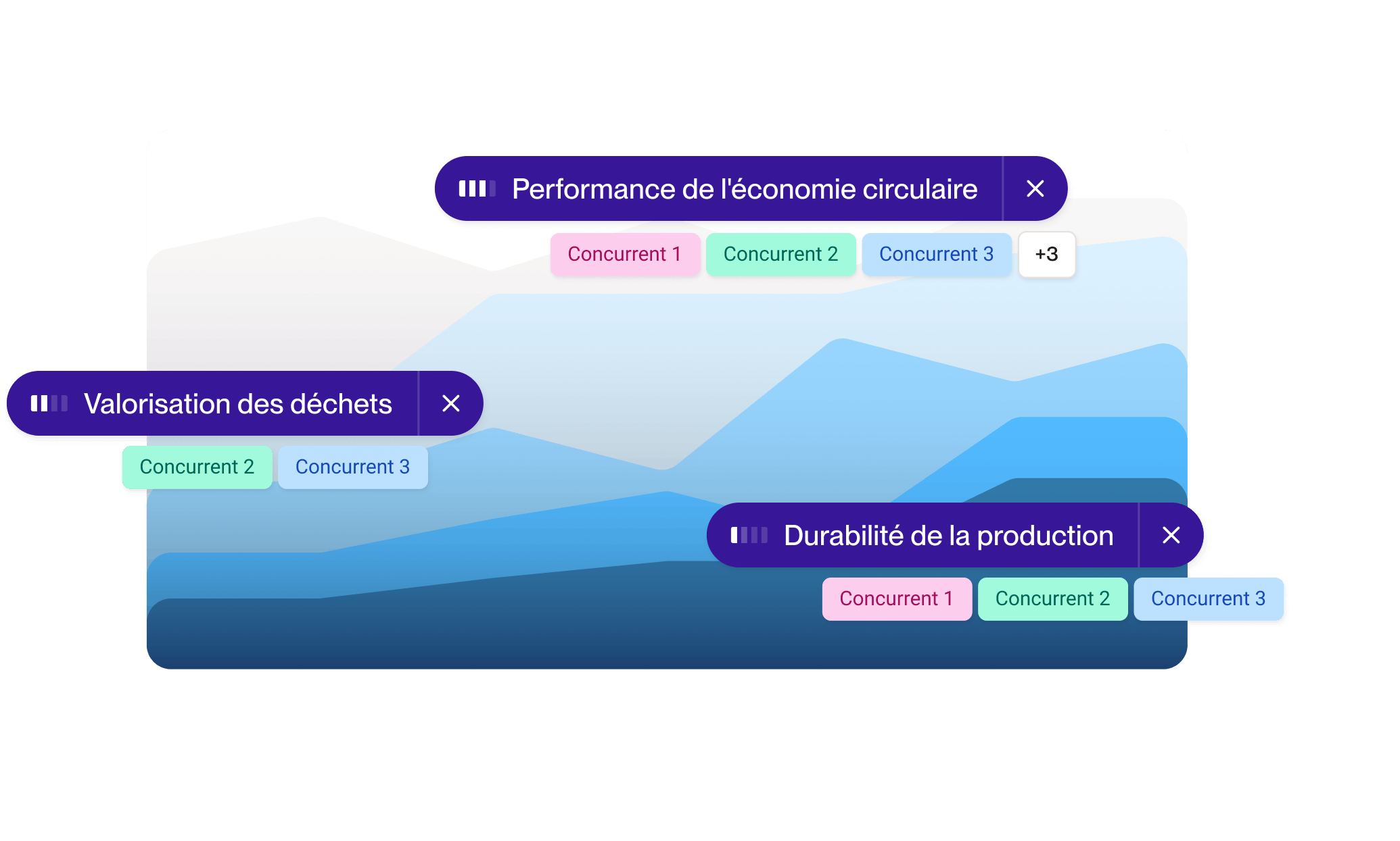 competitor analysis