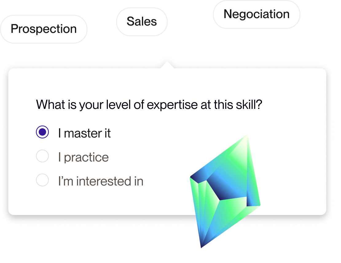 skills expertise