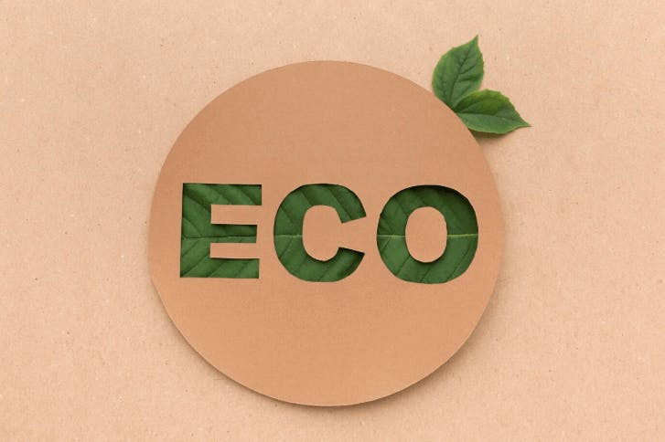 Palavra ECO